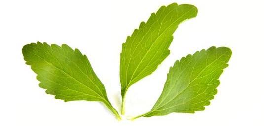 Stevia Extract Stevia Extract