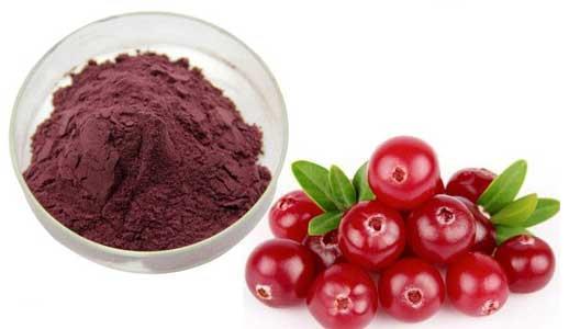 tranbär extrakt cranberry extract