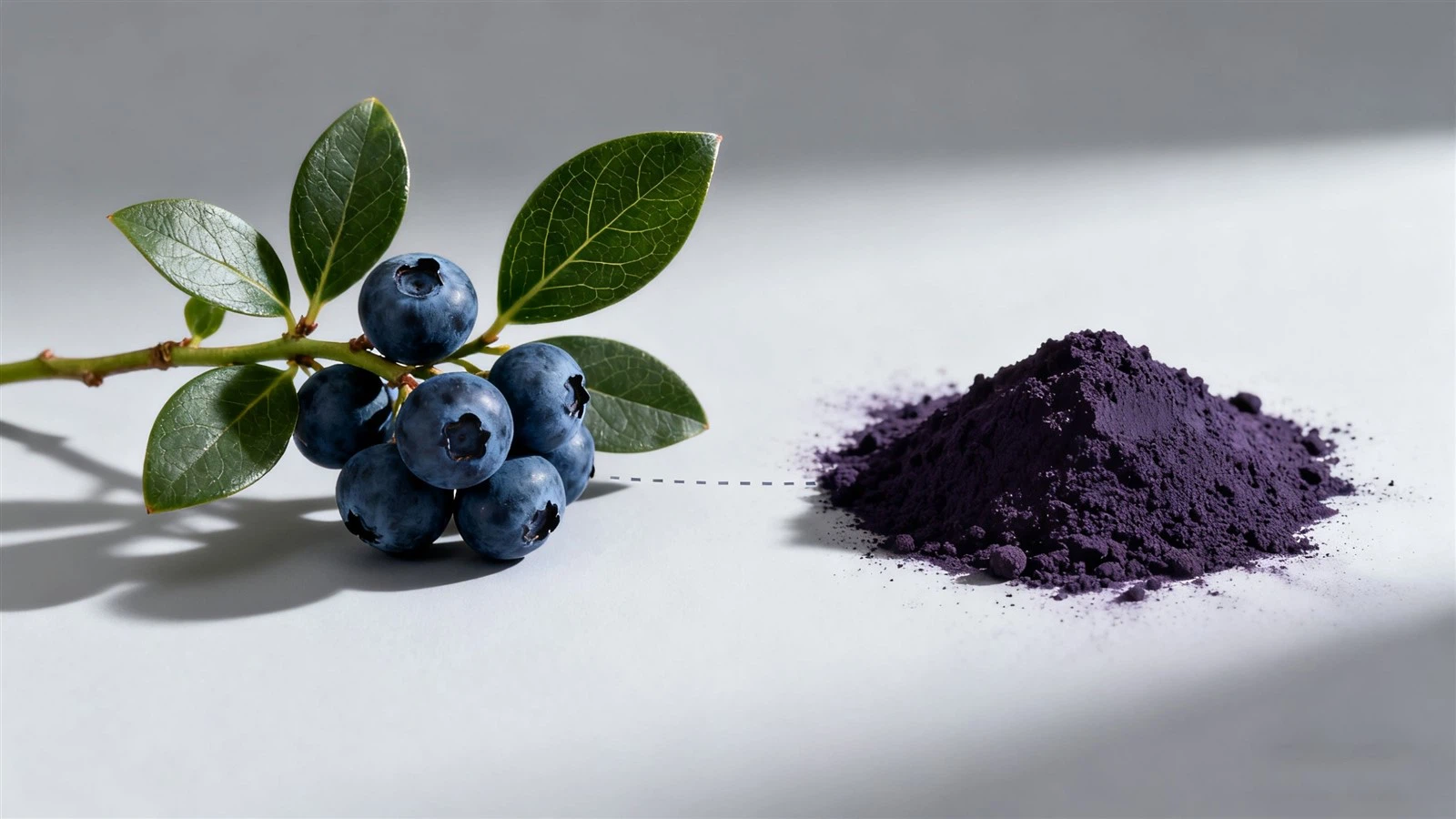 blueberry-extract-powder blueberry-extract-powder