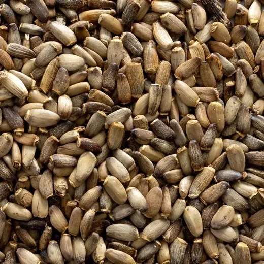 Milk Thistle seed Milk Thistle seed