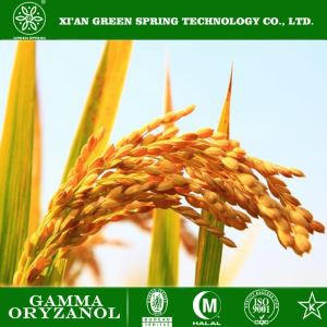 Ris kli extrakt gamma oryzanolpulver