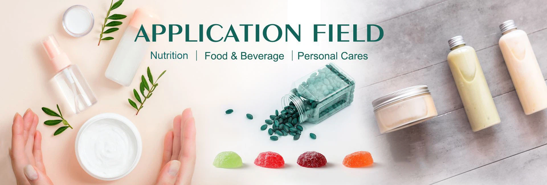 plant extract manufactures